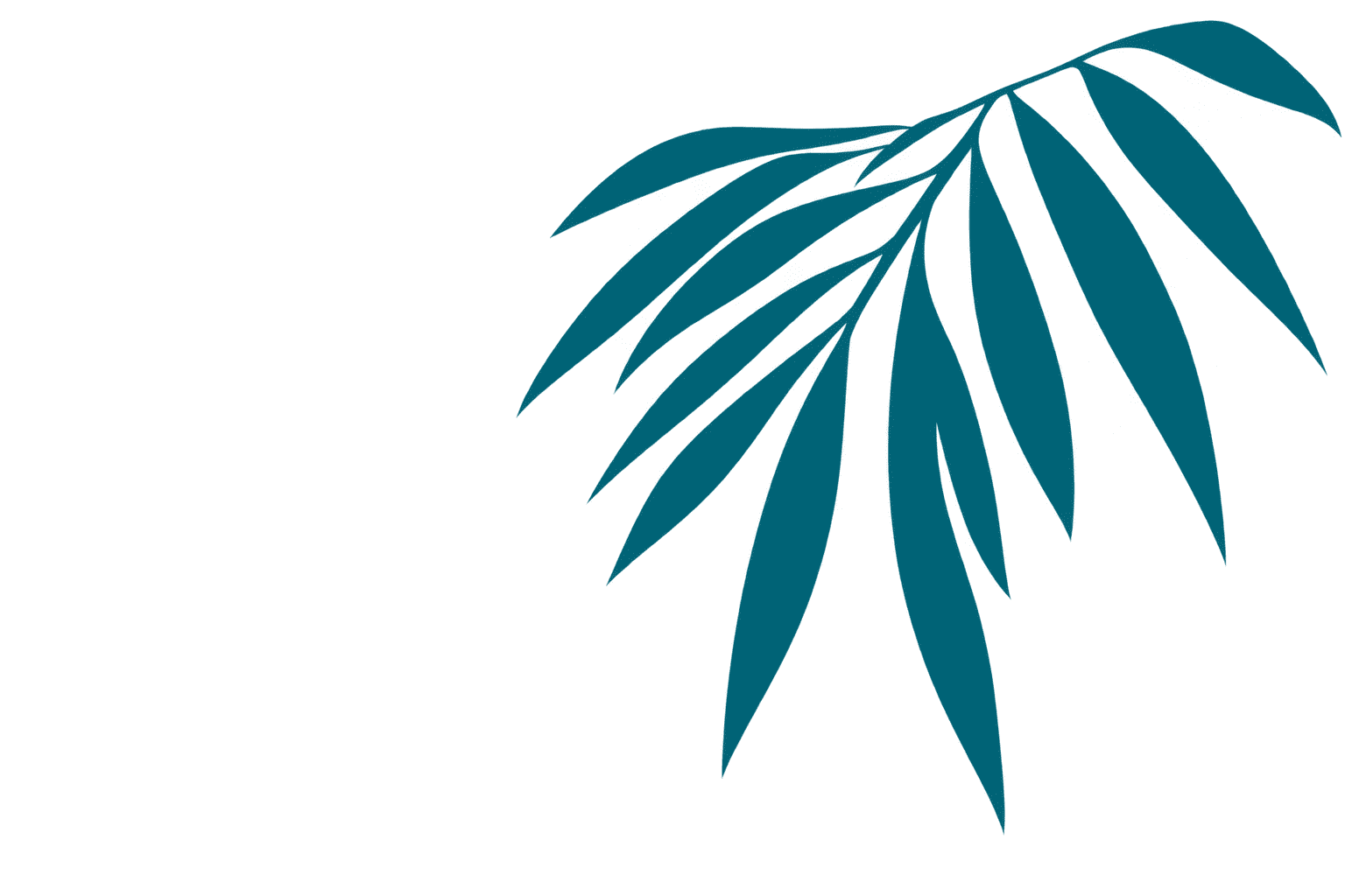 Footprint Accent