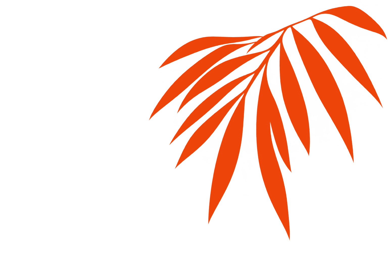 Footprint Accent