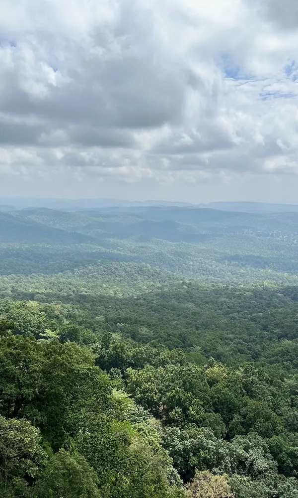 Forested hills and green landscape around Amarkantak