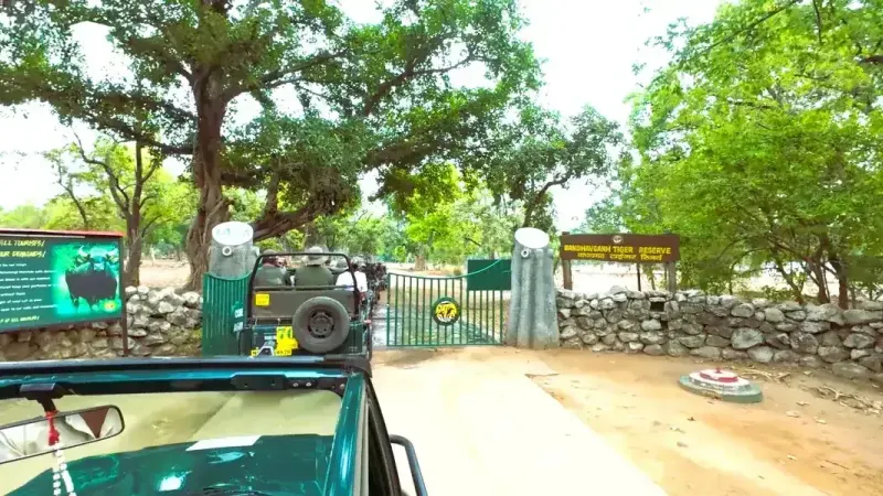 Safari vehicle at Bandhavgarh Tala zone gate