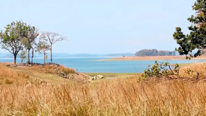 Pench River backwater and wooded banks