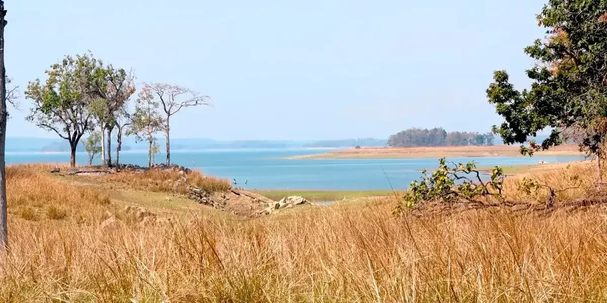 Pench river backwaters