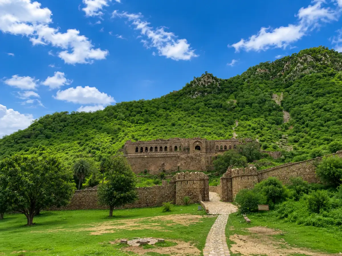 Bandhavgarh National Park, Madhya Pradesh