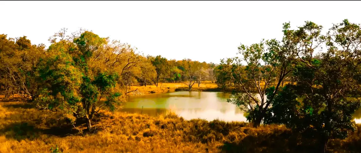 Kanha National Park, Madhya Pradesh