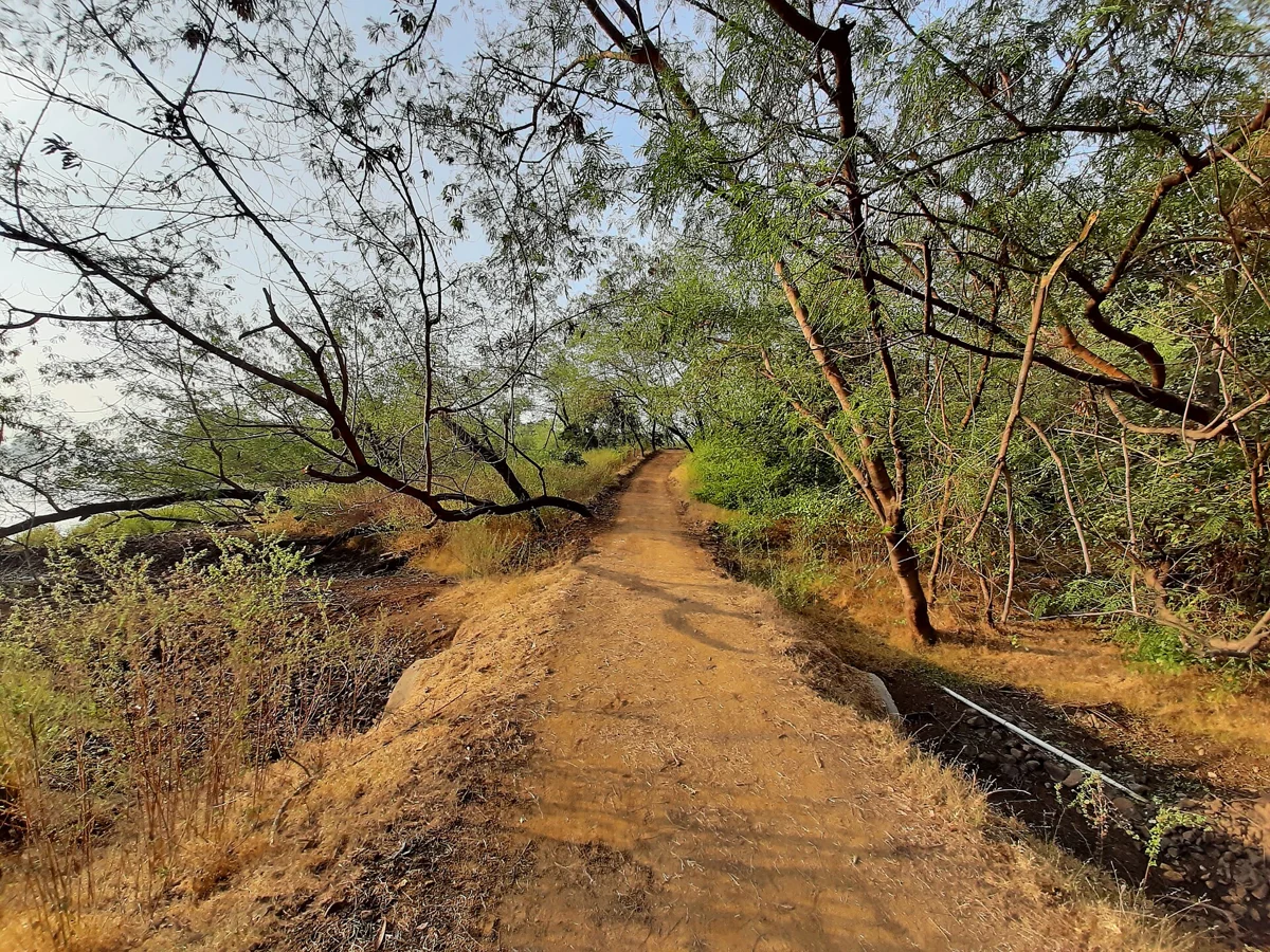 Dumna Nature Reserve in the Jabalpur area · actual photograph