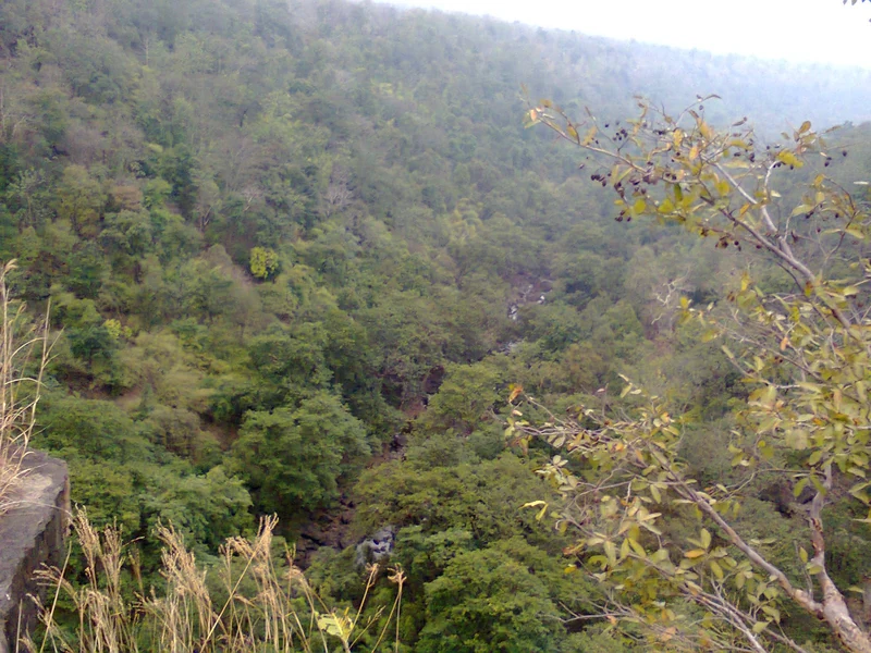 Wooded hills in the Panna landscape