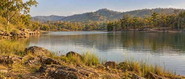 Generated Pench-inspired lake and teak woodland